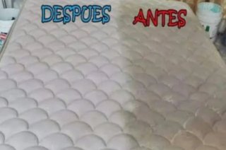 Limpieza y desinfección sofá