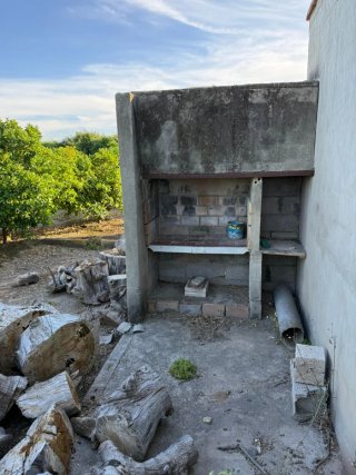 Terreno/Campo de Naranja