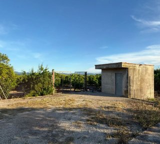 Terreno/Campo de Naranja