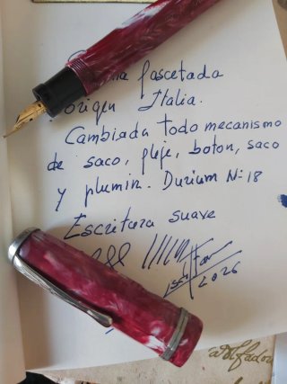 Pluma estilográfica facetada Italiana.
