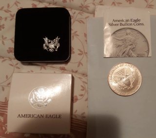Moneda Onza Plata USA American Eagle 1996