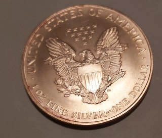 Moneda Onza Plata USA American Eagle 1996