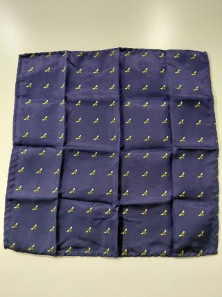 Pajarita y pañuelo