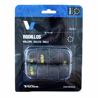 Rodillos variador de carbono 25x17 15g D24A