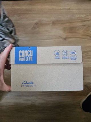 Zapatillas Clarks (new)