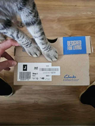 Zapatillas Clarks (new)