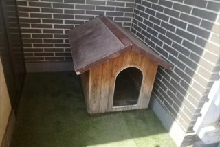 Caseta para perro mediano