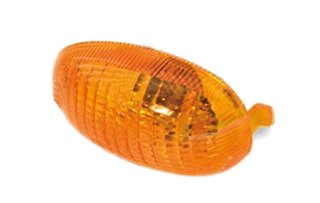 Tulipa intermitente delantero izquierdo D1CB