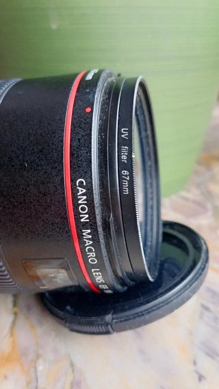 Canon EF 100mm f/2.8 L Macro IS USM