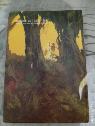 Libro LA VUELTA AL MUNDO EN 80 DÍAS