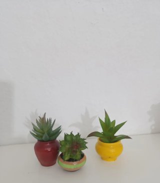 Miniature Artigianali con Piante