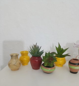Miniature Artigianali con Piante
