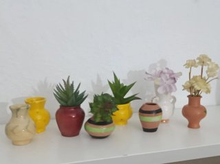 Miniature Artigianali con Piante