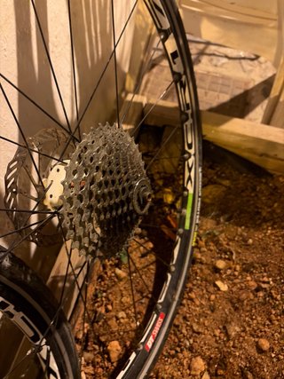 Ruedas profesionales bicicleta DT Swiss   Mandarme