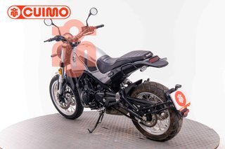 BENELLI LEONCINO 500