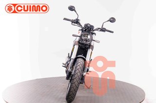 BENELLI LEONCINO 500