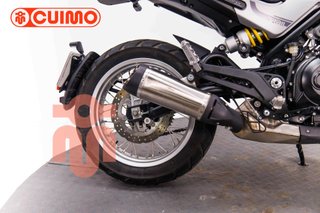 BENELLI LEONCINO 500