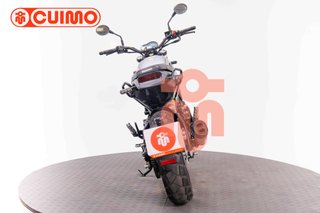BENELLI LEONCINO 500