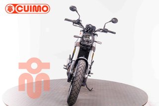 BENELLI LEONCINO 500