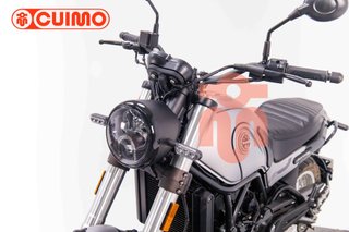 BENELLI LEONCINO 500