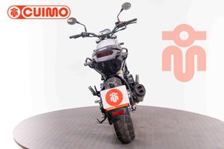 BENELLI LEONCINO 500