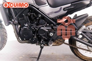 BENELLI LEONCINO 500