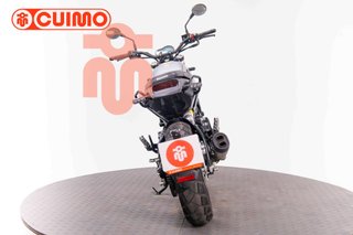 BENELLI LEONCINO 500
