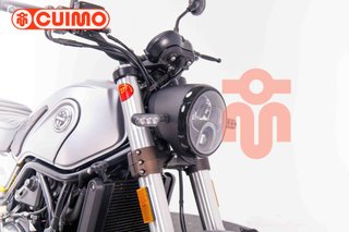 BENELLI LEONCINO 500
