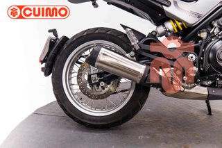 BENELLI LEONCINO 500
