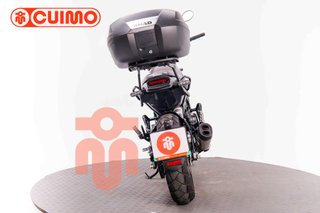 BENELLI LEONCINO 500