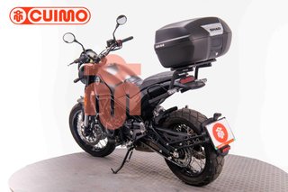 BENELLI LEONCINO 500