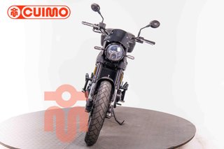 BENELLI LEONCINO 500