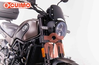 BENELLI LEONCINO 500