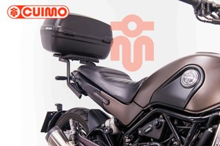 BENELLI LEONCINO 500