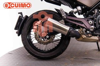 BENELLI LEONCINO 500