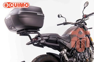 BENELLI LEONCINO 500