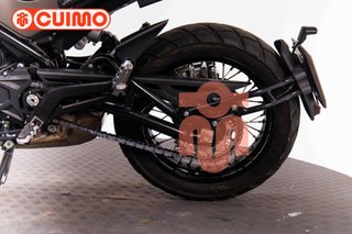 BENELLI LEONCINO 500