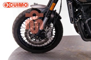 BENELLI LEONCINO 500