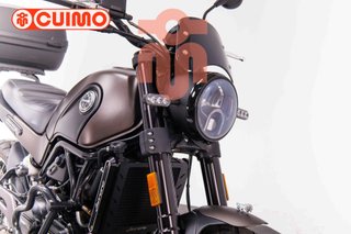 BENELLI LEONCINO 500