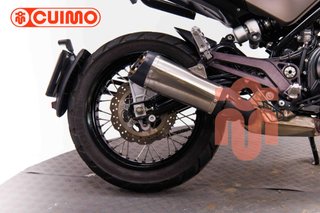 BENELLI LEONCINO 500