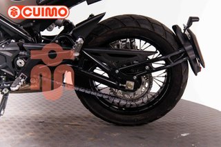 BENELLI LEONCINO 500