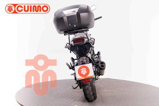 BENELLI LEONCINO 500