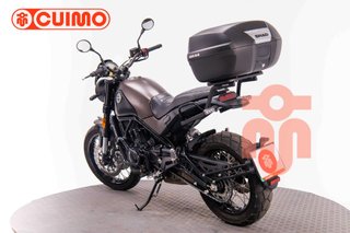 BENELLI LEONCINO 500