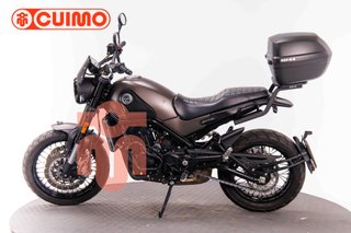 BENELLI LEONCINO 500