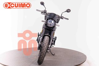 BENELLI LEONCINO 500