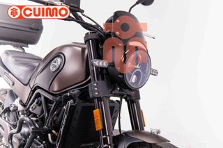 BENELLI LEONCINO 500
