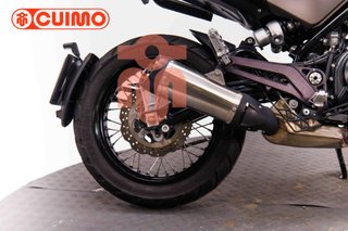 BENELLI LEONCINO 500