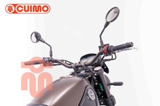 BENELLI LEONCINO 500
