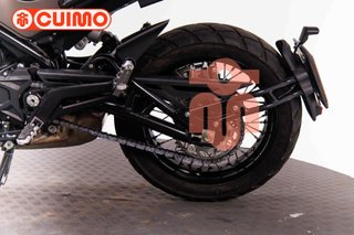 BENELLI LEONCINO 500