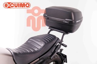 BENELLI LEONCINO 500